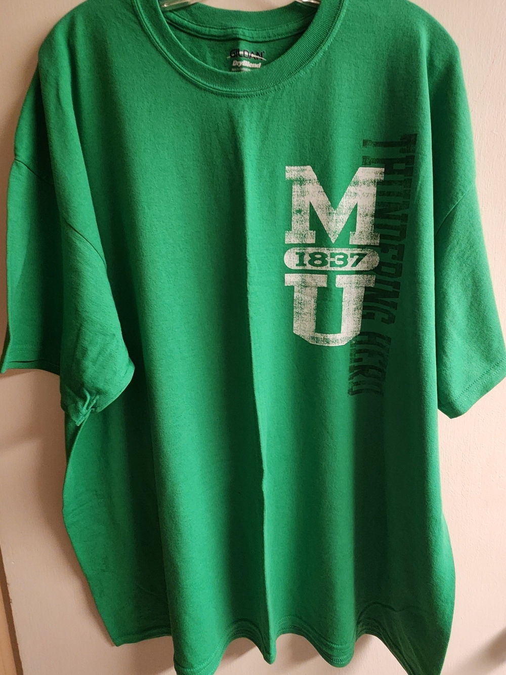Gildan Men’s Kelly Green Graphic Short-Sleeve Tee